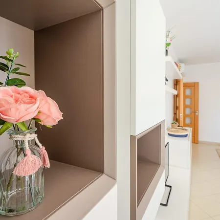 Elegant And Spacious Apartment