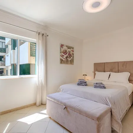 Elegant And Spacious Apartment